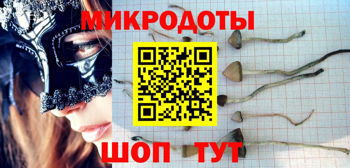 Псилоцибиновые грибы MAGIC MUSHROOMS  Вход с VPN  Топки 