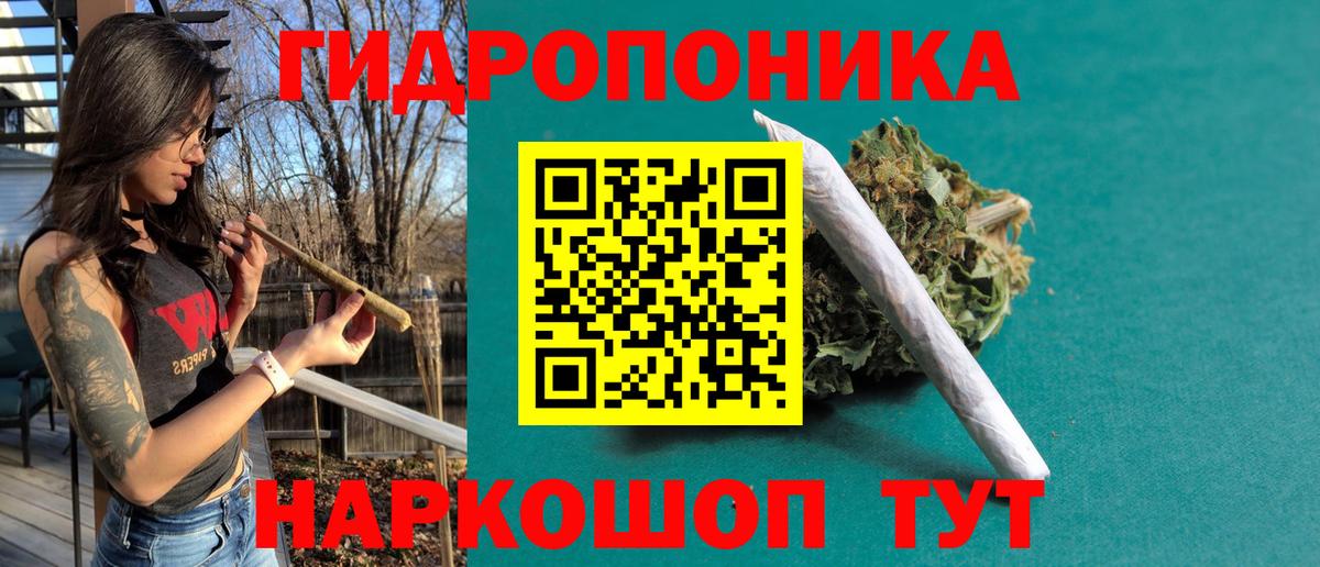 Бошки Шишки планчик Топки